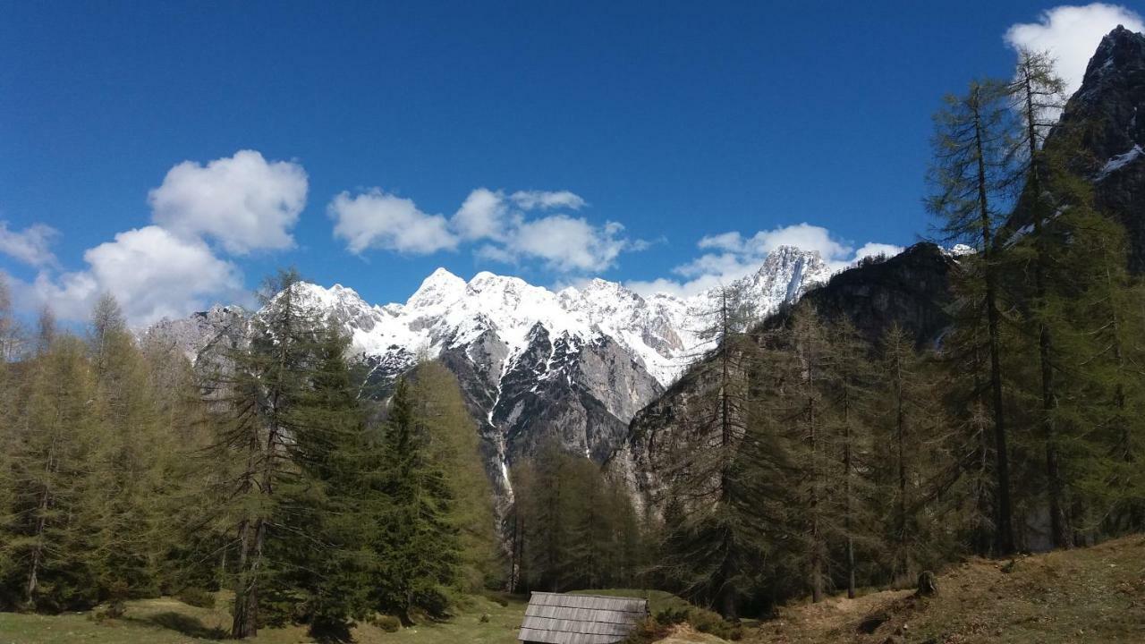Appleby Apartments Kersnik Bohinj Bagian luar foto
